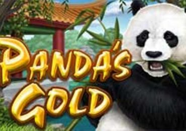 Play Now New Panda’s Gold Slot With Free Spins Bonuses